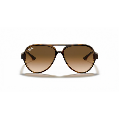 Ray-Ban RB4125 Unisex Sunglasses