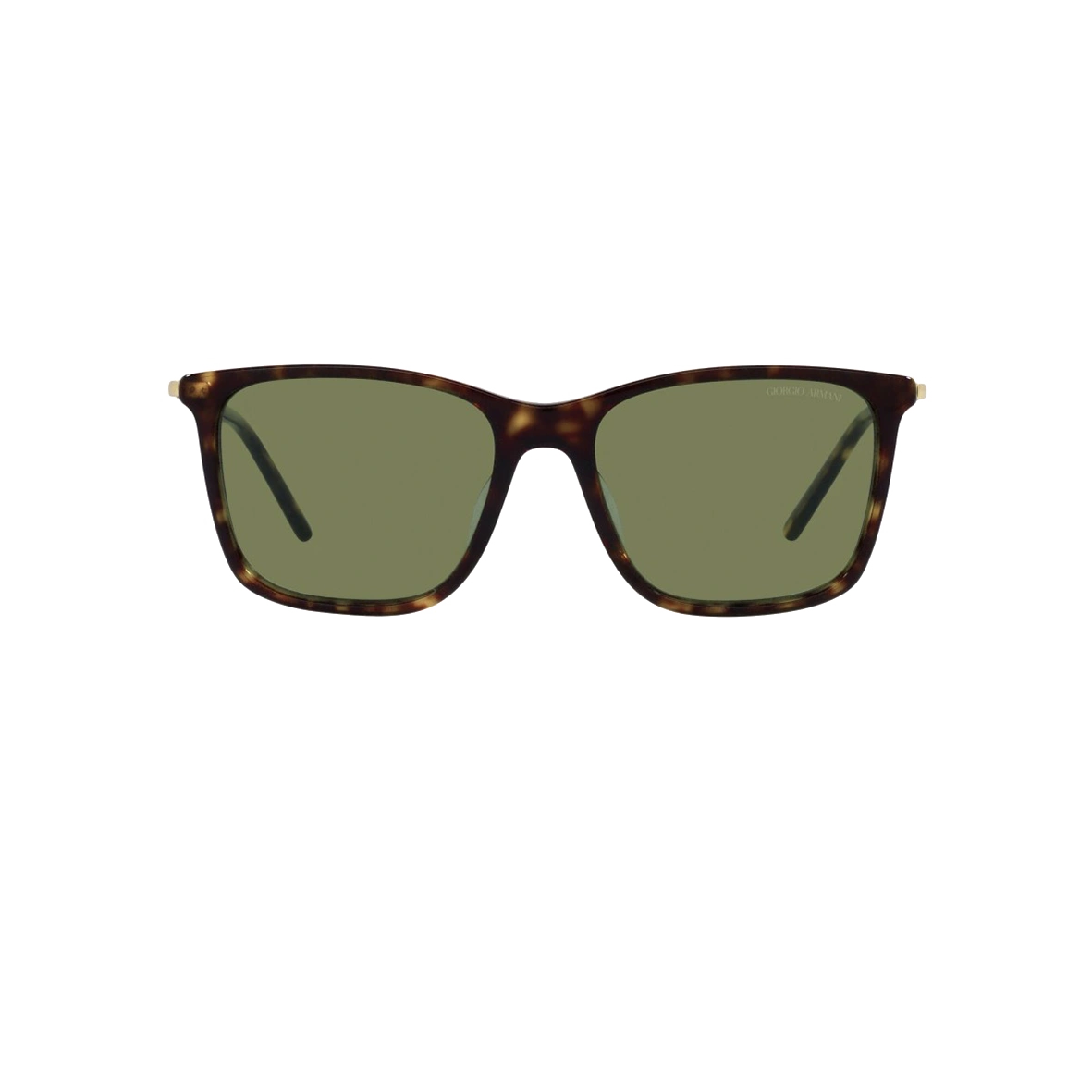 Giorgio Armani AR8176 50262A Men Sunglasses