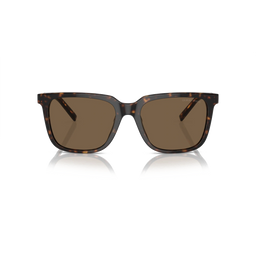 Giorgio Armani AR8202U 587973 Men Sunglasses