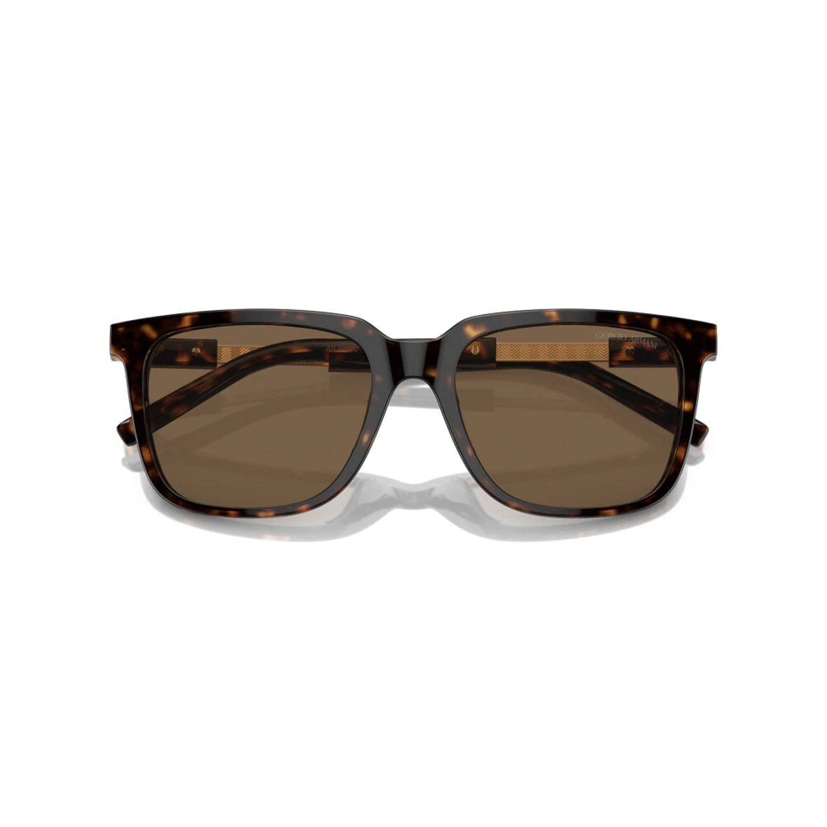 Giorgio Armani AR8202U 587973 Men Sunglasses