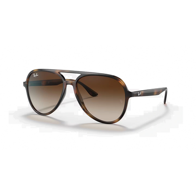 Ray-Ban RB4376 Unisex Sunglasses