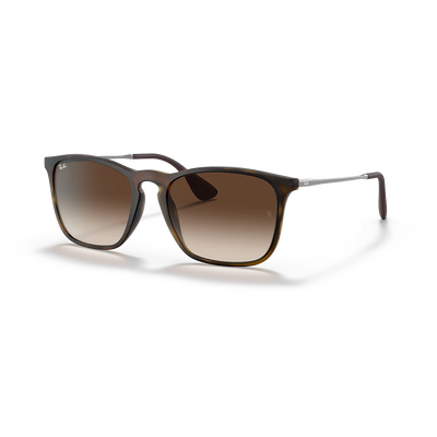 Ray-Ban RB4187 Unisex Sunglasses