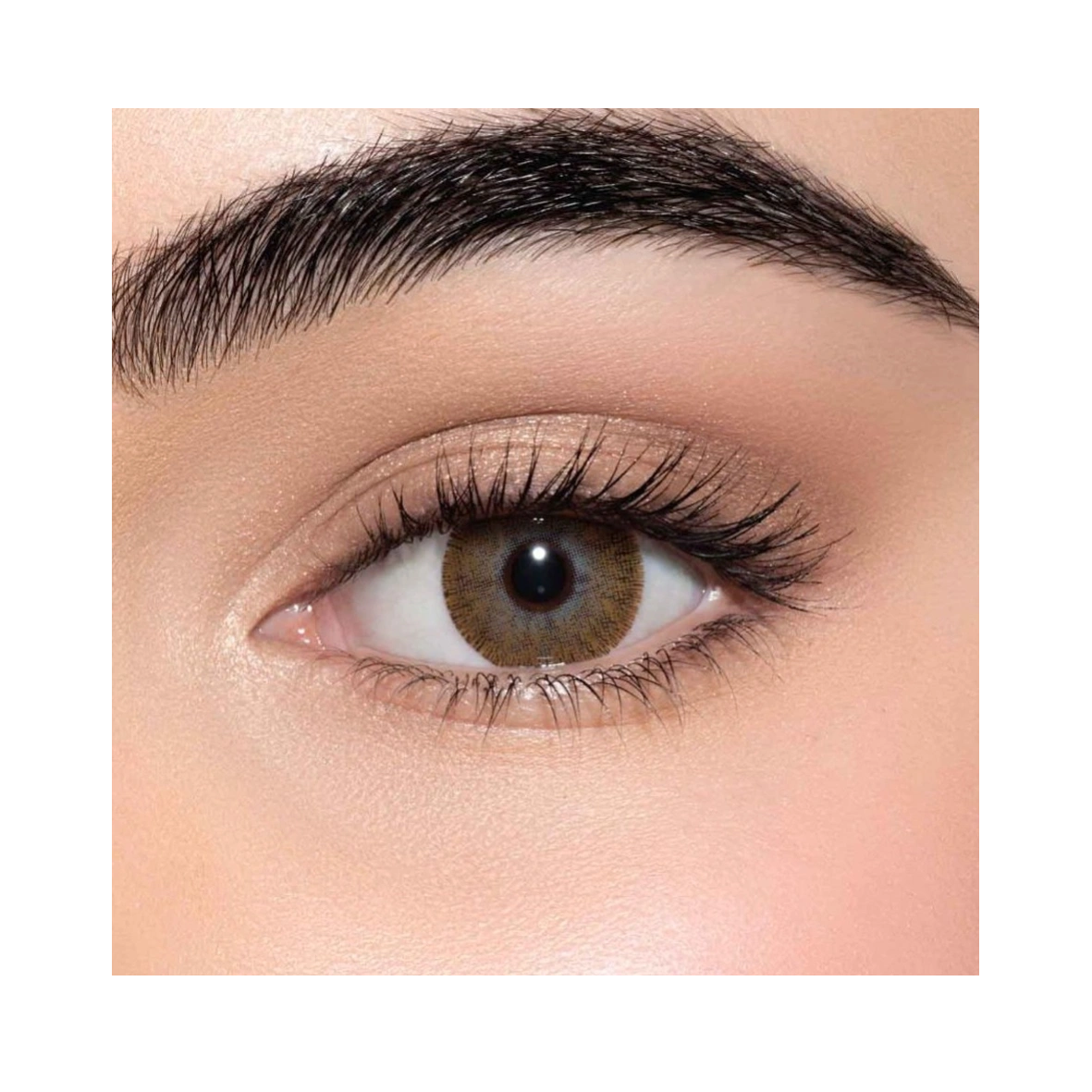 Lens Me Brown Contact Lenses