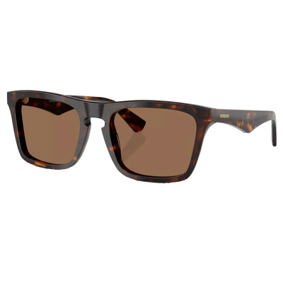 Burberry 4434 Man Sunglasses