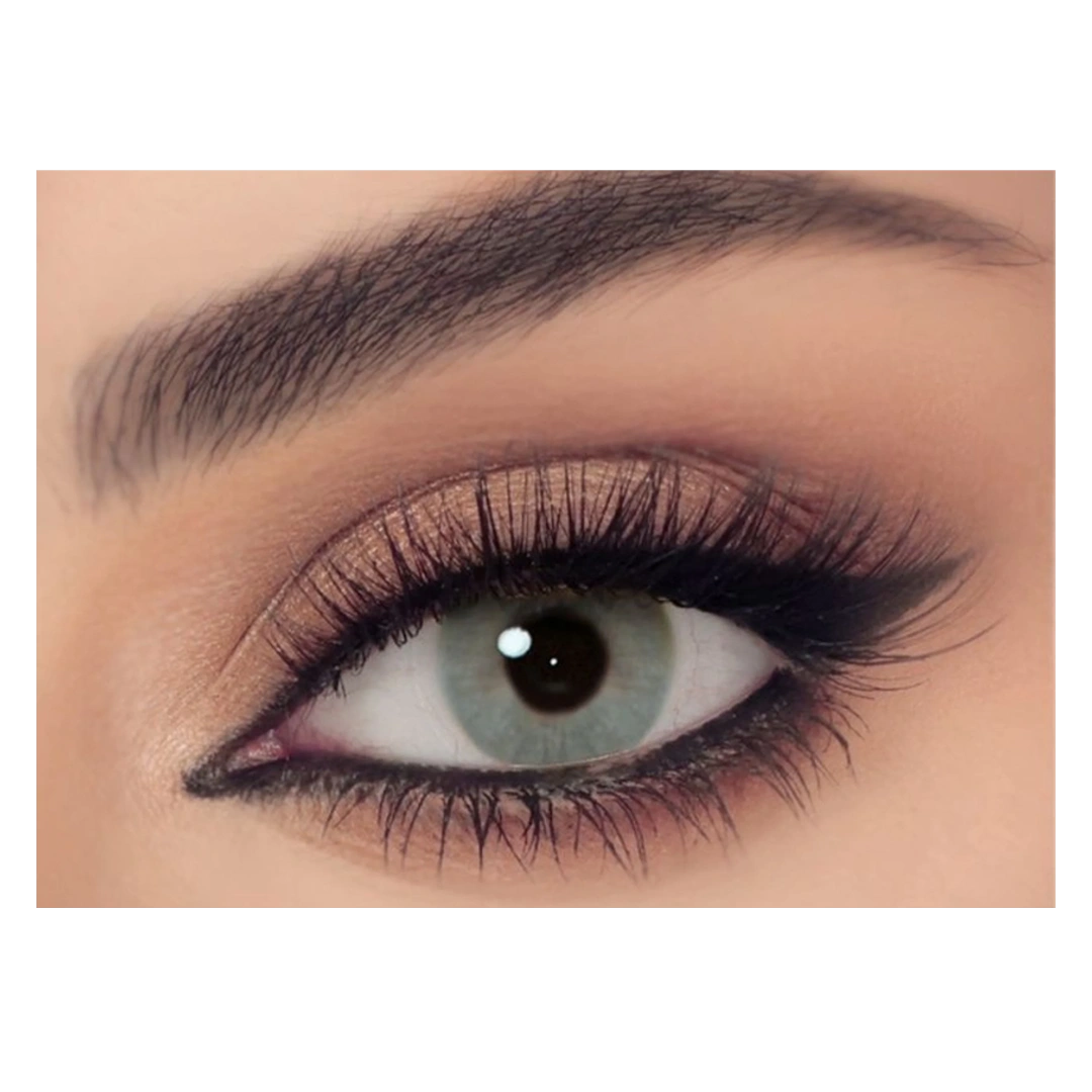Celena One Day Collection Contact Lens - Basil Grey