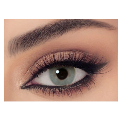 Celena One Day Collection Contact Lens - Basil Grey