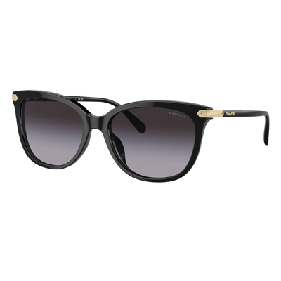 Coach HC8378U Woman Sunglasses - 50028G