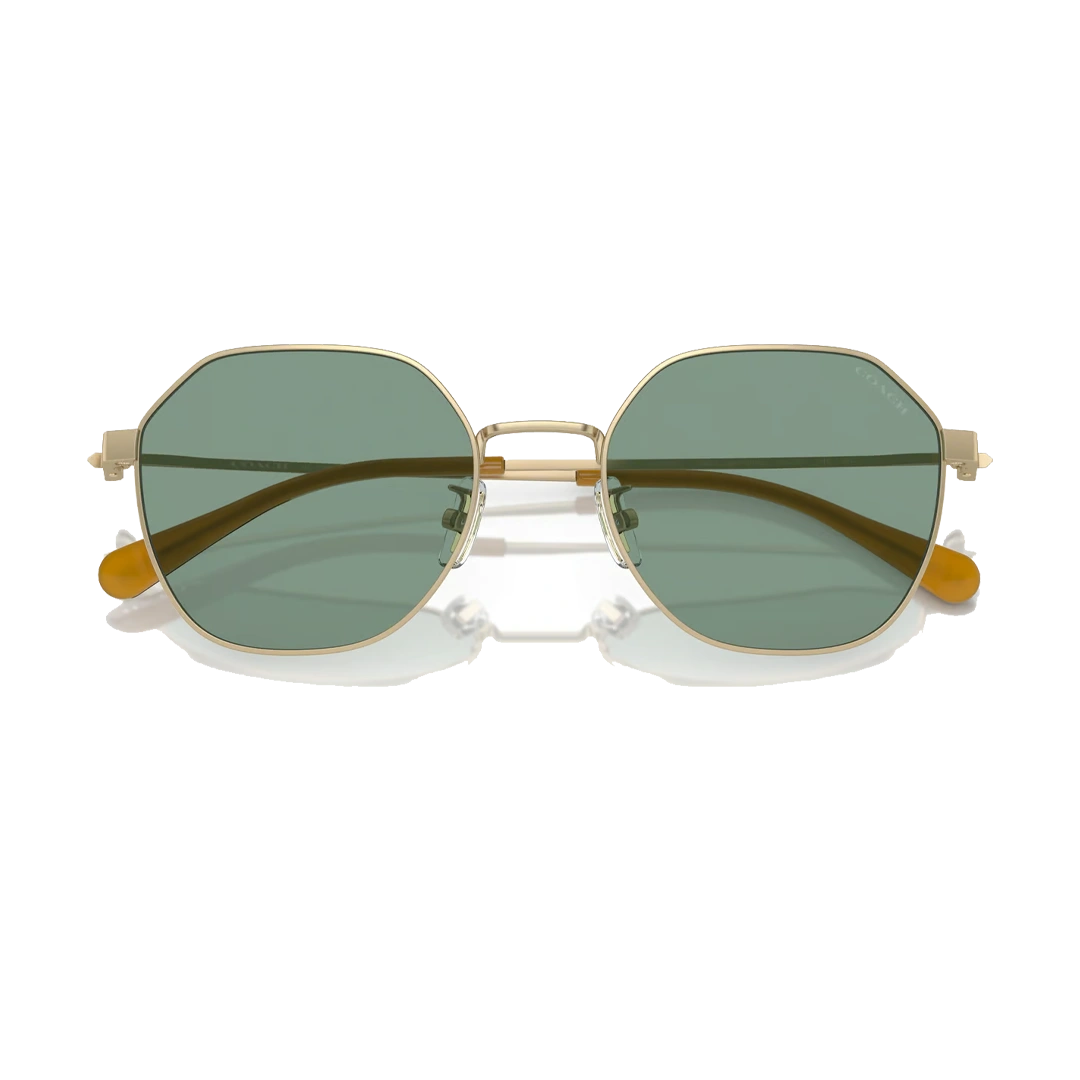 Coach HC7155 Man Sunglasses