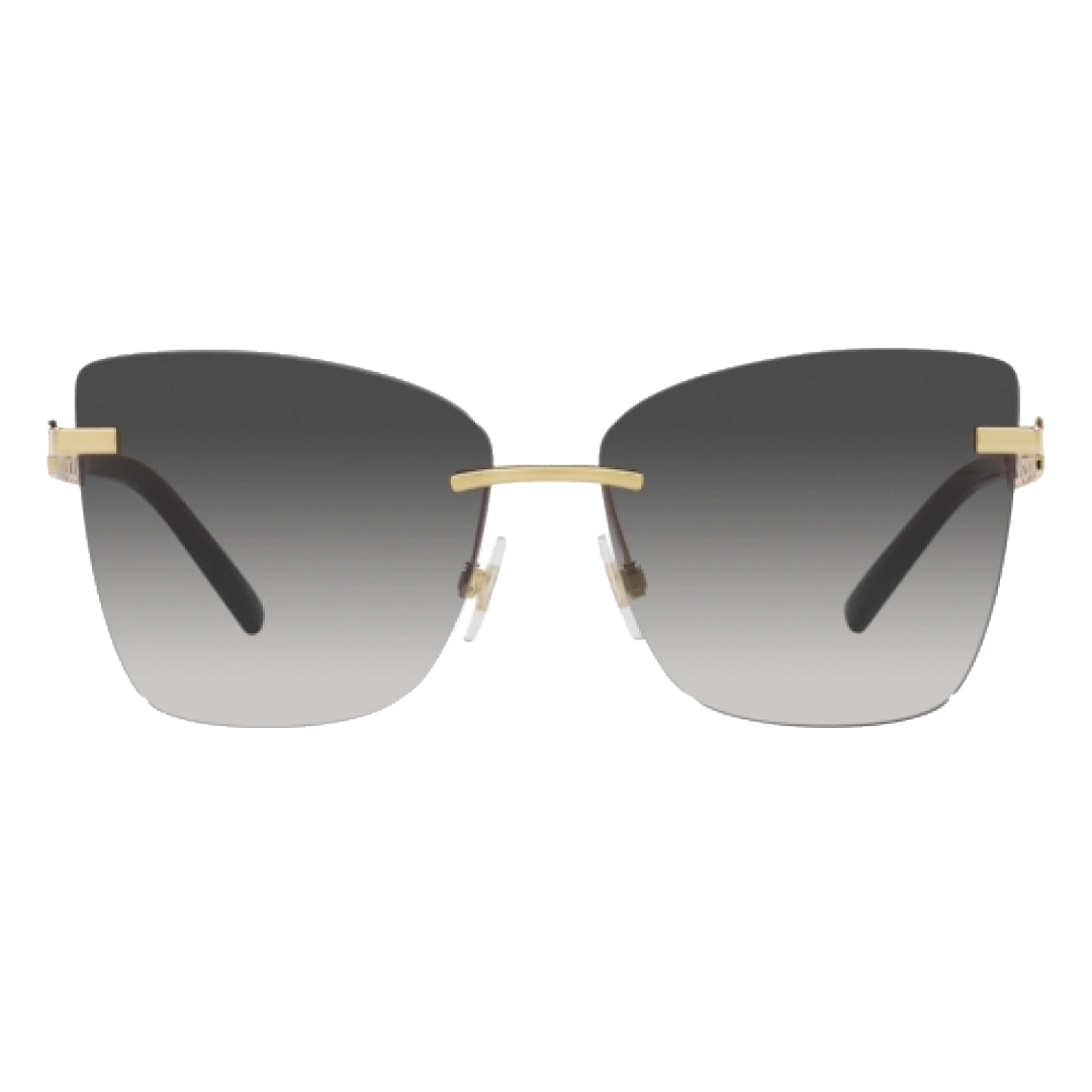 Dolce & Gabbana DG2289 Woman Sunglasses
