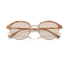 Giorgio Armani AR 8215 Man Sunglasses