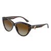 Jimmy Choo  Woman Sunglasses in KSA