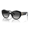 Jimmy Choo JC5013U Women Sunglass