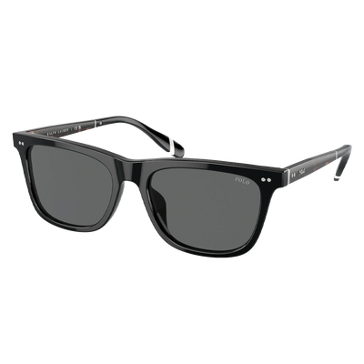 Polo 4205U Man Sunglasses