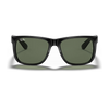 Ray Ban RB4165 Man Sunglasses