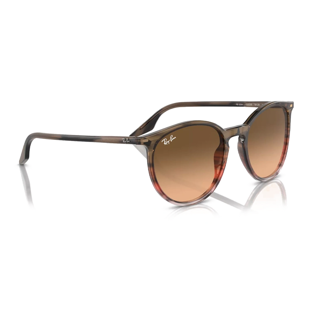 Ray Ban 2204 Unisex Sunglasses