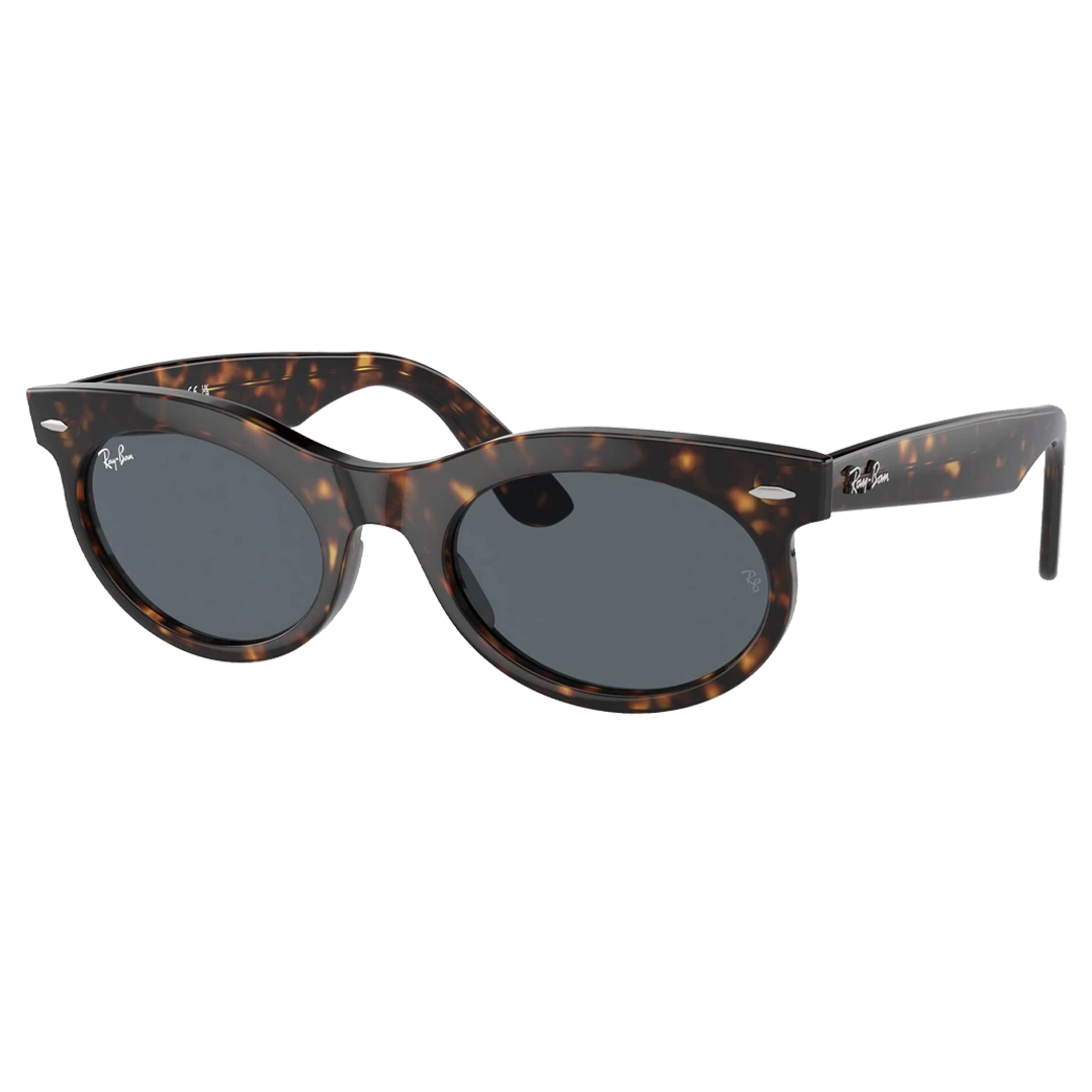 Ray Ban 2242 Unisex Sunglasses