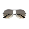Ray Ban RB3025 Unisex Sunglasses - Small