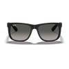 Ray Ban RB4165 Man Sunglasses in KSA