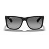 Ray Ban RB4165 Man Sunglasses in KSA