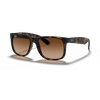 Ray Ban RB4165 Man Sunglasses in KSA
