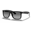 Ray Ban RB4165 Man Sunglasses in KSA