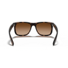 Ray Ban RB4165 Man Sunglasses in KSA