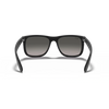 Ray Ban RB4165 Man Sunglasses in KSA