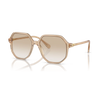 Swarovski Woman Sunglasses in KSA