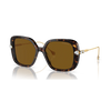 Swarovski SK6011 Woman Sunglasses