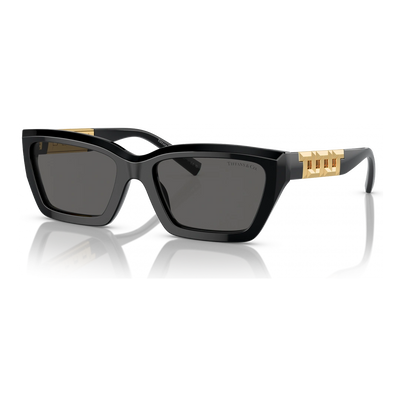 Tiffany TF4213 Woman Sunglasses