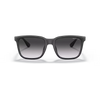 Armani Exchange AX4112SU Sunglass