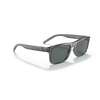 Arnette 0AN4298 Sunglass