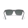 Arnette 0AN4298 Sunglass