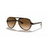 Ray-Ban RB4125 Unisex Sunglass