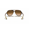 Ray-Ban RB4125 Unisex Sunglass