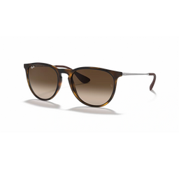 Ray-Ban 0RB4171  Unisex Sunglass