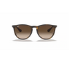 Ray-Ban 0RB4171  Unisex Sunglass