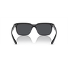 Armani Exchange AX4026S Unisex sunglasses