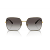 Dolce & Gabbana 0DG2242 Sunglass