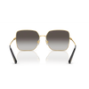 Dolce & Gabbana 0DG2242 Sunglass