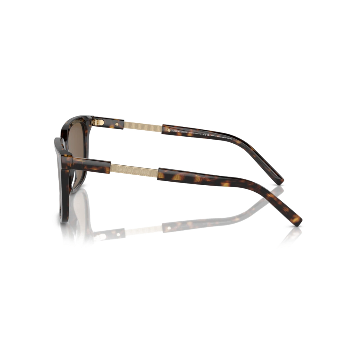 Giorgio Armani AR8202U 587973 Men Sunglasses