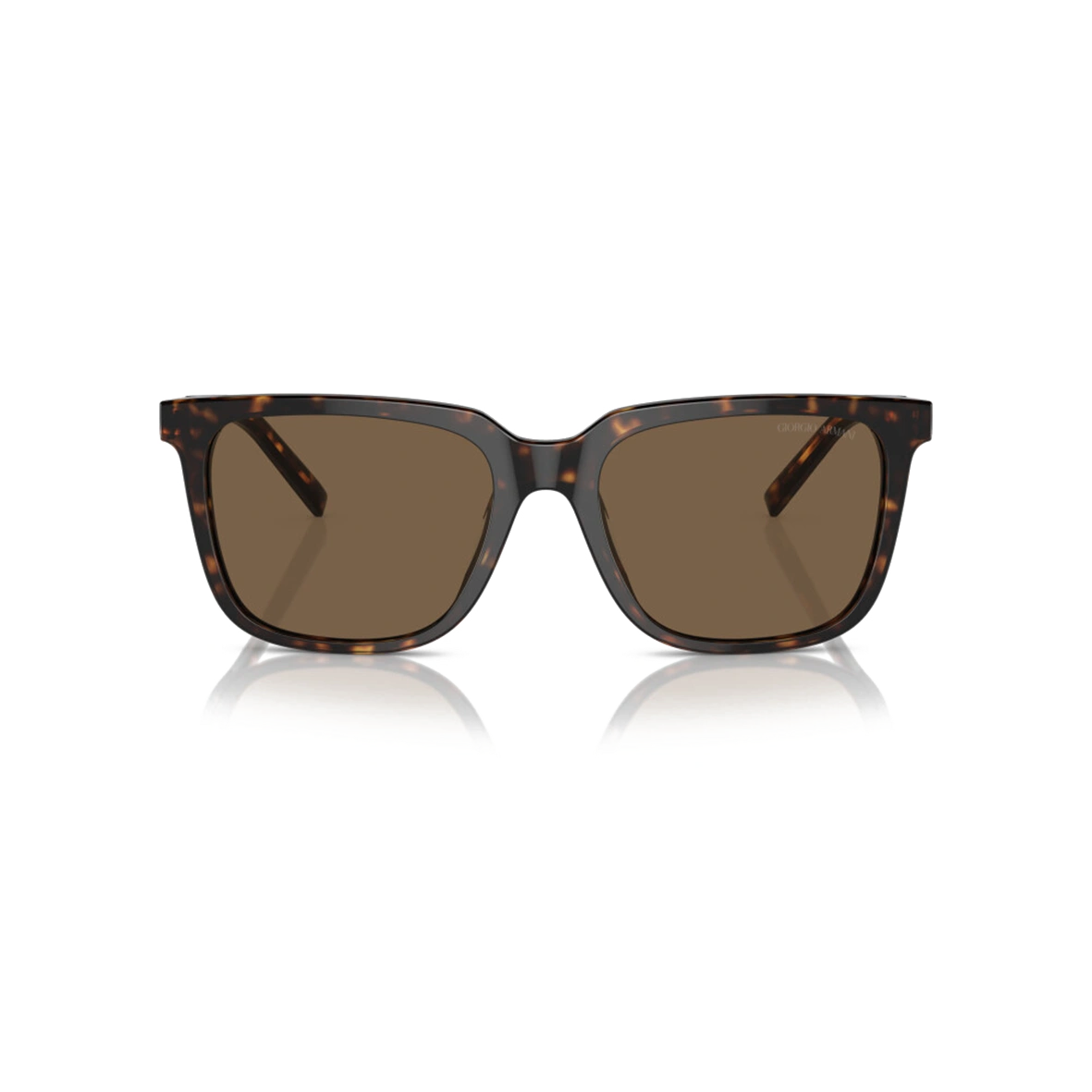 Giorgio Armani AR8202U 587973 Men Sunglasses