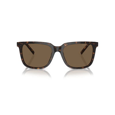 Giorgio Armani AR8202U 587973 Men Sunglasses