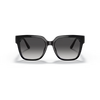 Michael Kors MK2170U sunglass