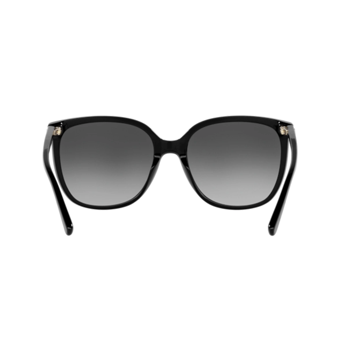 Michael Kors MK2137U Sunglass