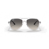 Ray-Ban RB4376 Unisex Sunglass