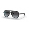 Ray-Ban RB4376 Unisex Sunglass
