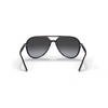Ray-Ban RB4376 Unisex Sunglass
