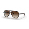 Ray-Ban RB4376 Unisex Sunglass