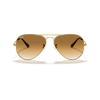 Ray-Ban RB3025 Sunglass